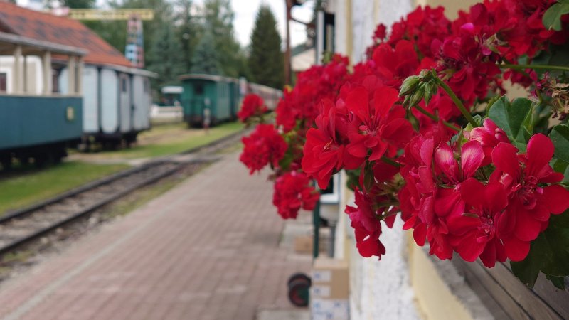 foto05 Sony Xperia 1 - snímka z fotoaparátu