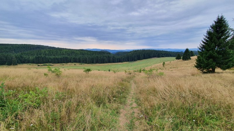 Samsung Galaxy Note 10 - testovací záber z fotoaparátu