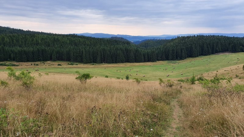 Samsung Galaxy Note 10 - testovací záber z fotoaparátu