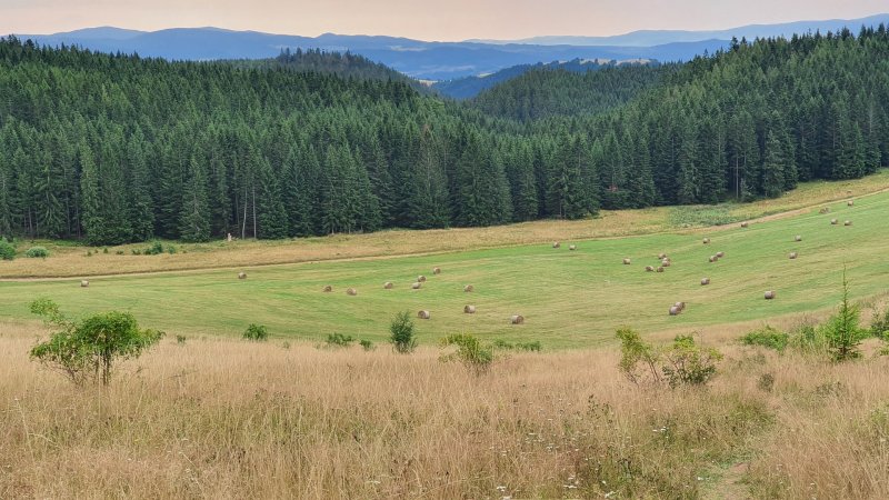 Samsung Galaxy Note 10 - testovací záber z fotoaparátu