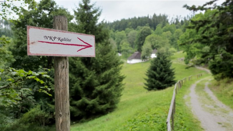 Samsung Galaxy Note 10 - testovací záber z fotoaparátu