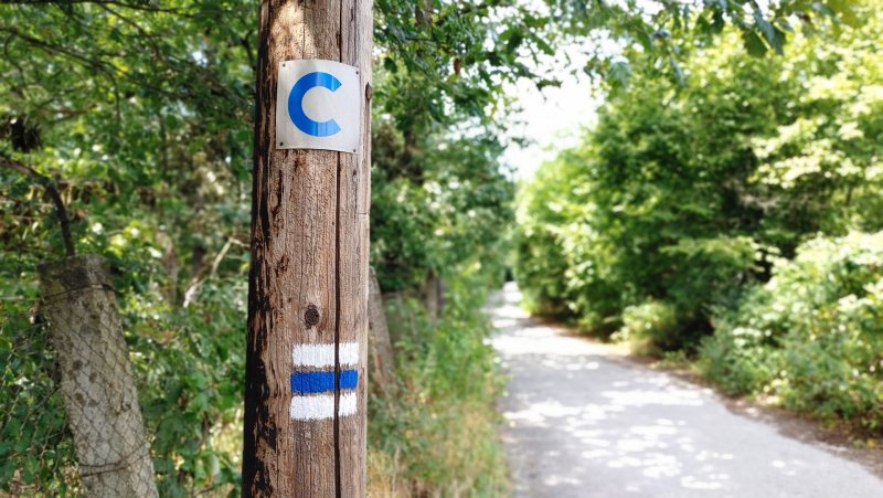 LG G8S ThinQ - portrétový záber s rozostreným pozadím