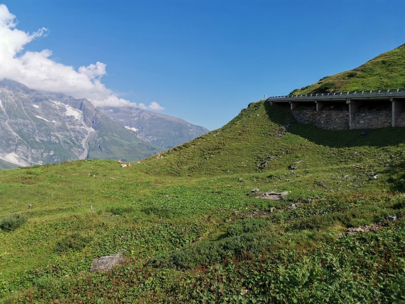 Honor 20 Pro - normálny záber