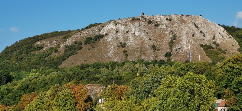 Honor 20 Pro - 3x priblížený záber