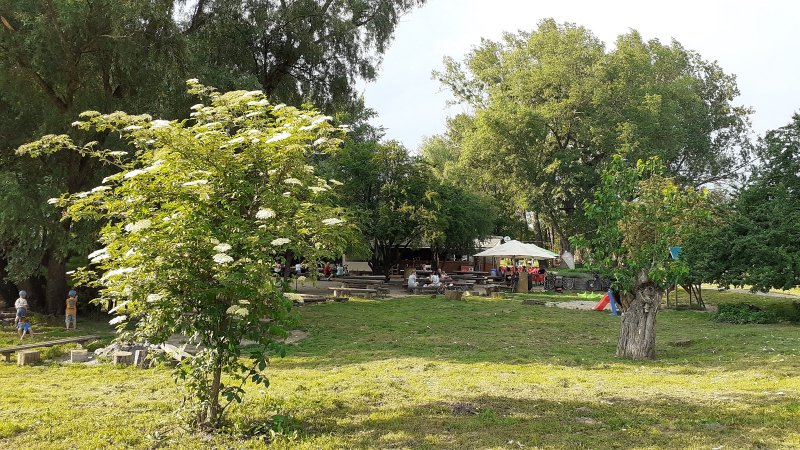 Samsung Galaxy A20e - štandardný záber