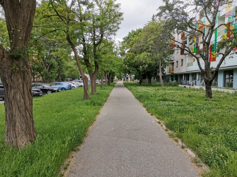 Honor 20 normálny záber