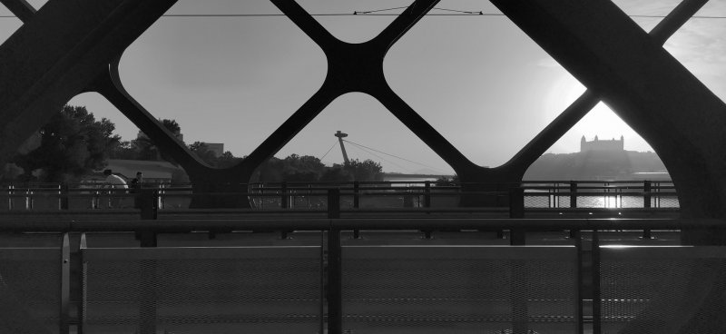 Honor 20 čiernobiely záber