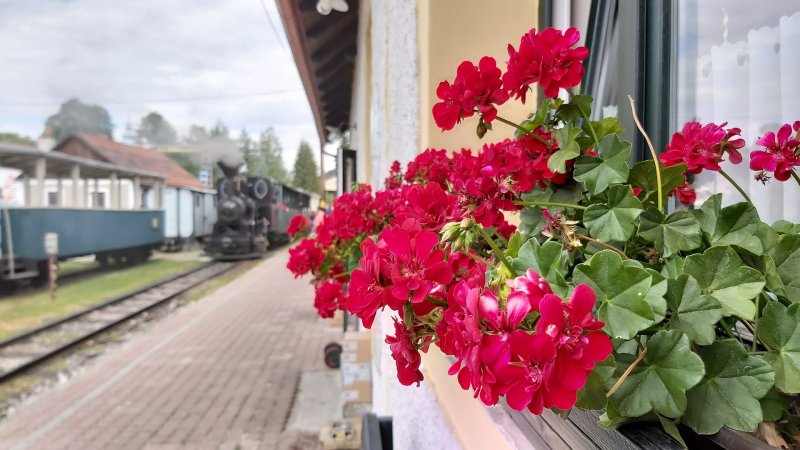 Samsung Galaxy A70 - detailný HDR záber